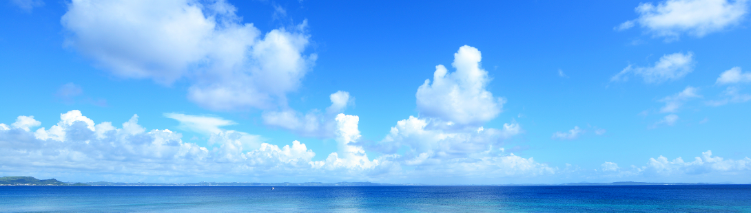 夏の海
