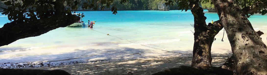 パラオの景色