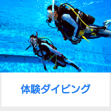体験ダイビング