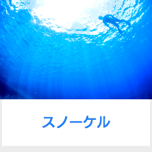 スノーケル