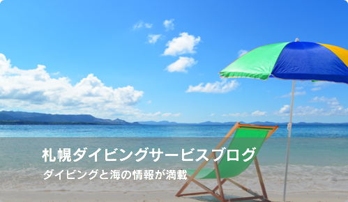 ブログ