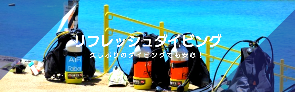 リフレッシュダイビング